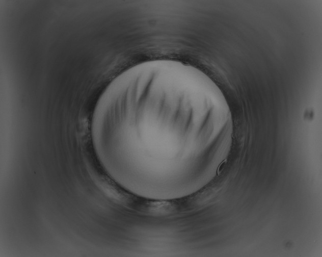 X0000095550087200801041340