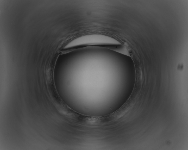 X0000095550088200801041340