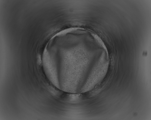 X0000095550089200801041340