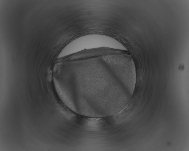 X0000095550090200801041340