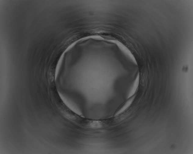 X0000095550091200801041340