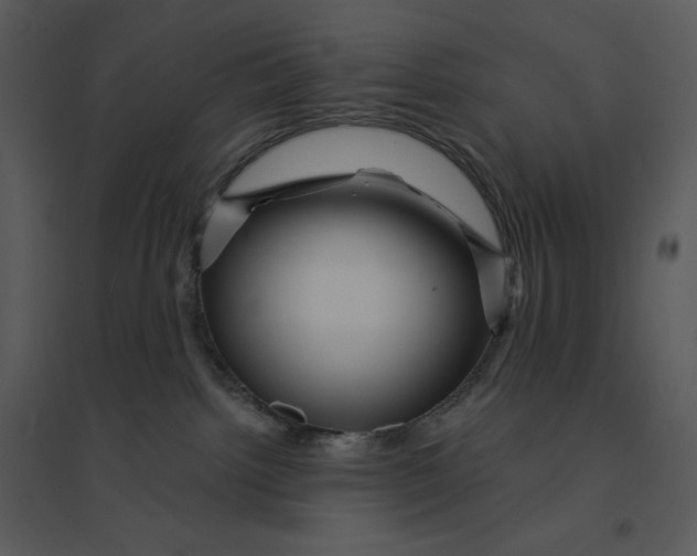 X0000095550092200801041340