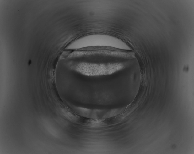 X0000095550093200801041340