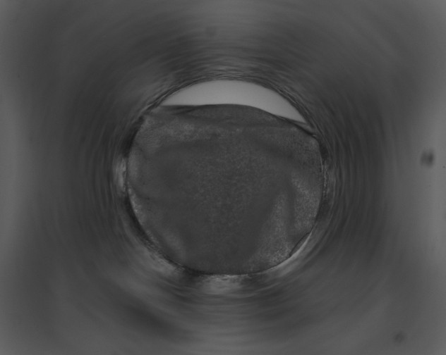 X0000095550094200801041340