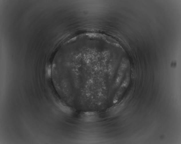 X0000095550095200801041340