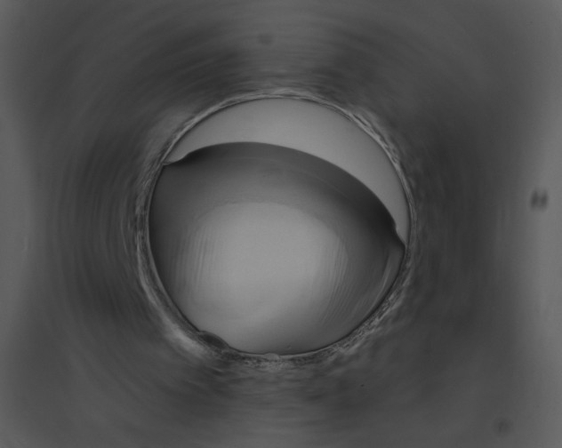 X0000095550097200801041340