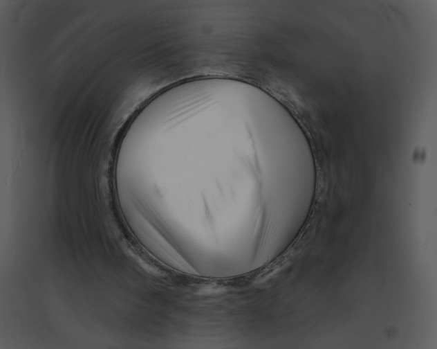 X0000095550098200801041340