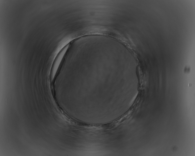 X0000095550099200801041340