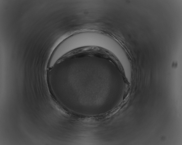 X0000095550100200801041340