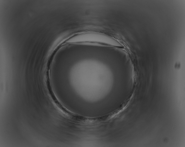 X0000095550101200801041340