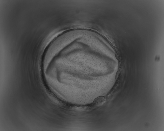 X0000095550103200801041340