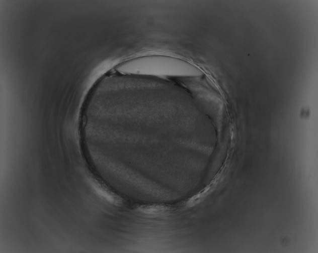 X0000095550104200801041340