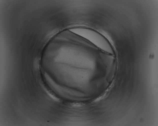 X0000095550105200801041340