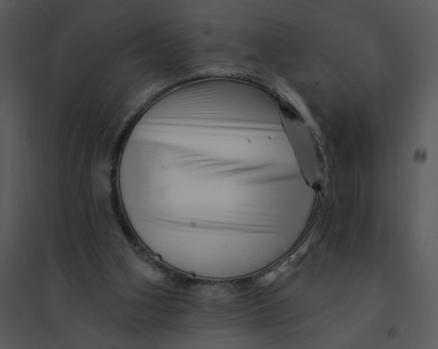 X0000095550106200801041339