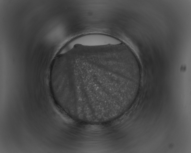 X0000095550107200801041339