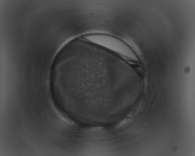 X0000095550108200801041339