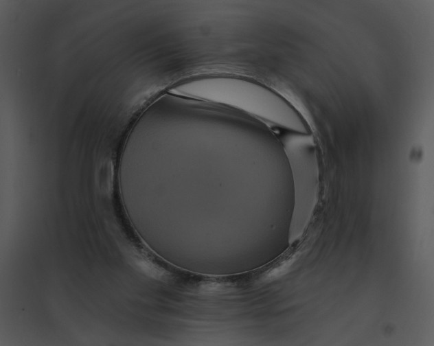 X0000095550109200801041339