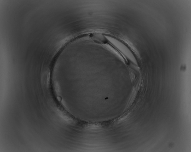 X0000095550110200801041339