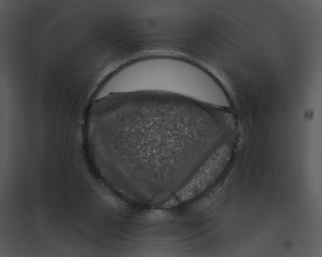 X0000095550111200801041339