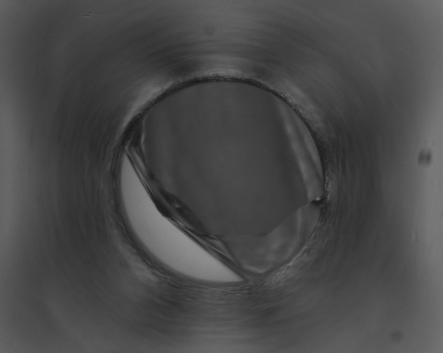 X0000095550112200801041339