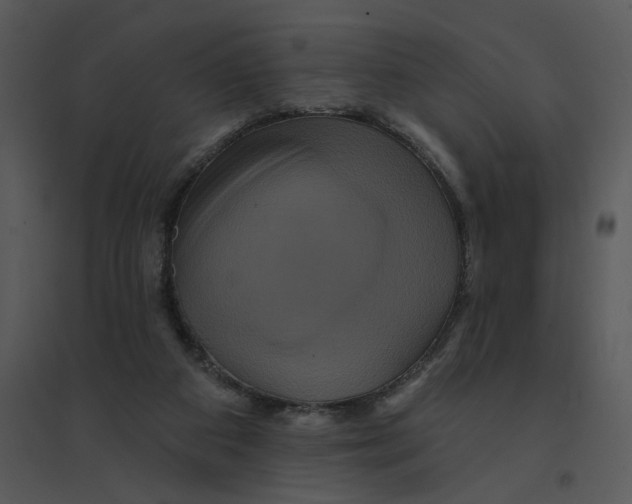 X0000095550113200801041339