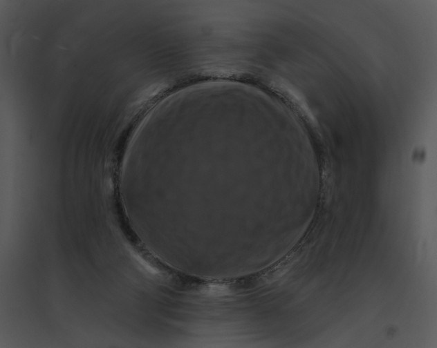 X0000095550114200801041339