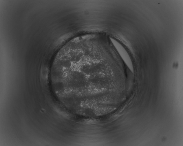 X0000095550115200801041339