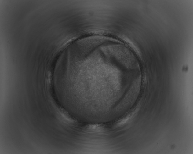 X0000095550117200801041339