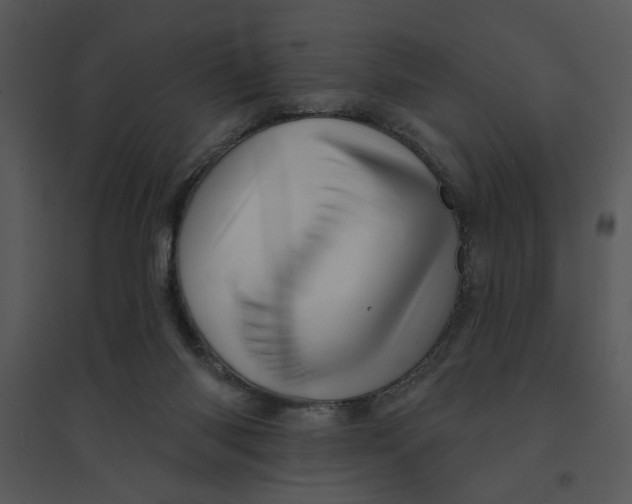 X0000095550118200801041339