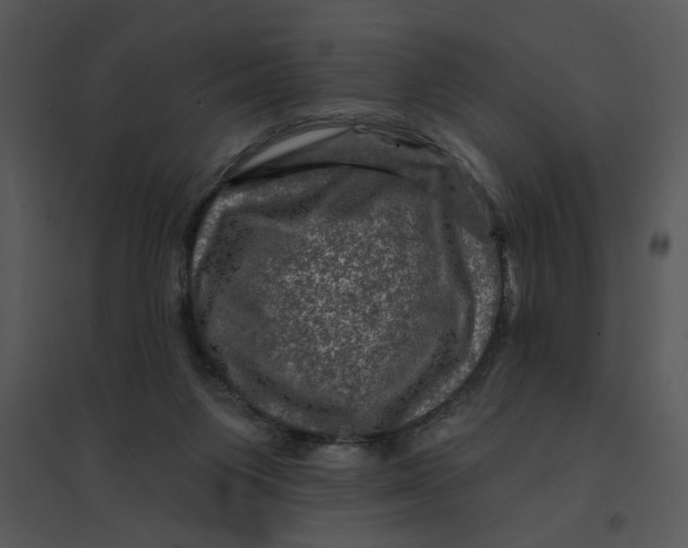 X0000095550119200801041339