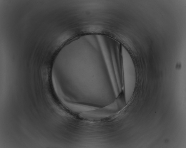 X0000095550120200801041339