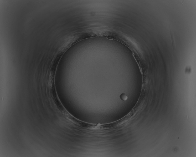 X0000095550121200801041339