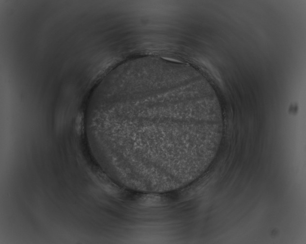 X0000095550123200801041339