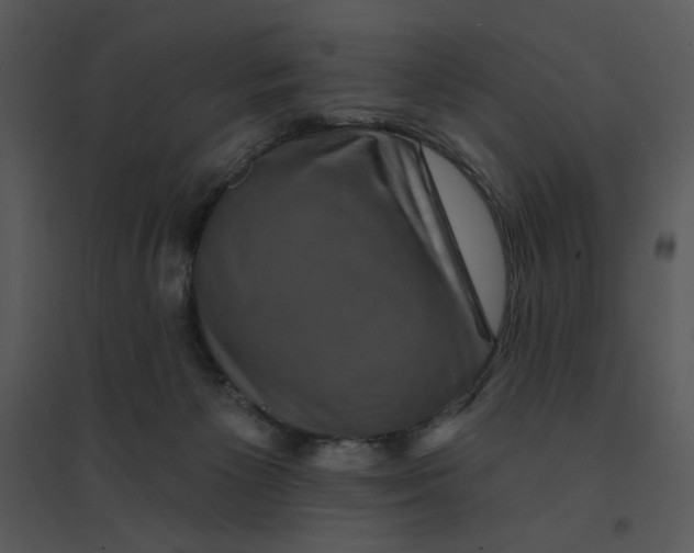 X0000095550125200801041339