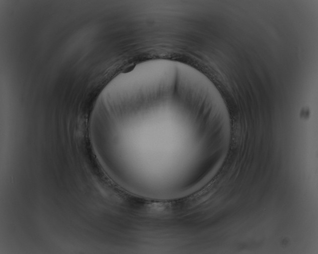 X0000095550126200801041339