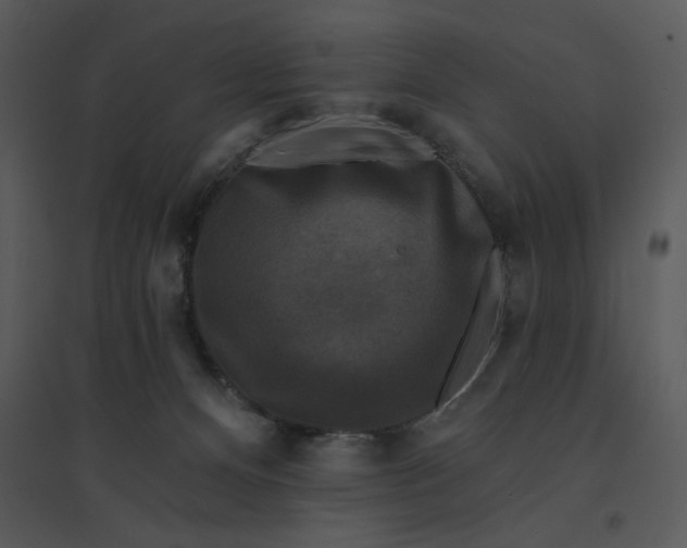 X0000095550128200801041339