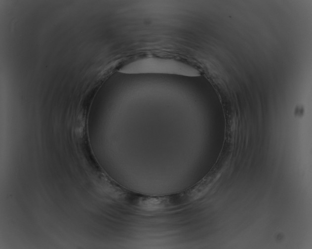 X0000095550129200801041339