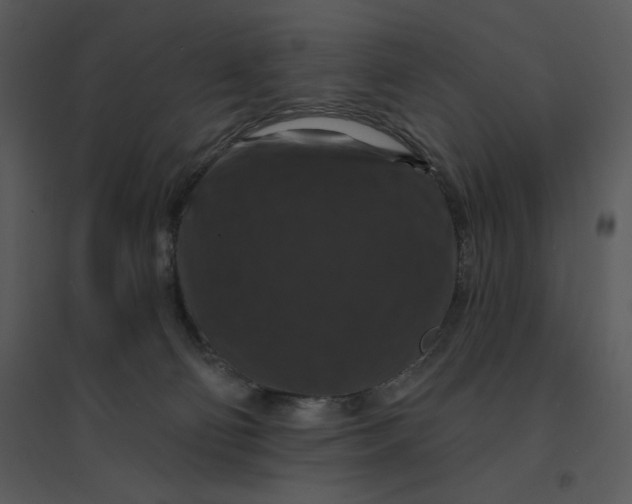 X0000095550130200801041339