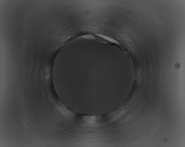 X0000095550131200801041339