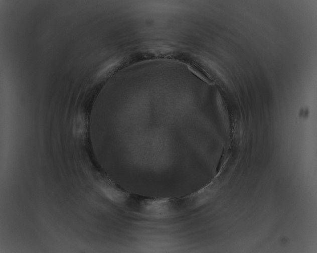 X0000095550132200801041339