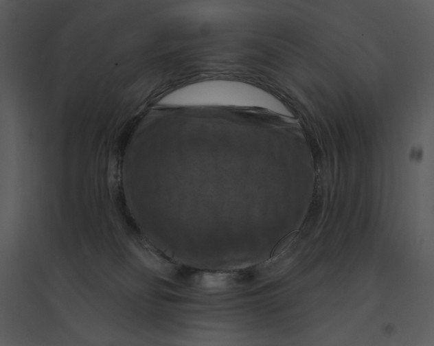 X0000095550134200801041339