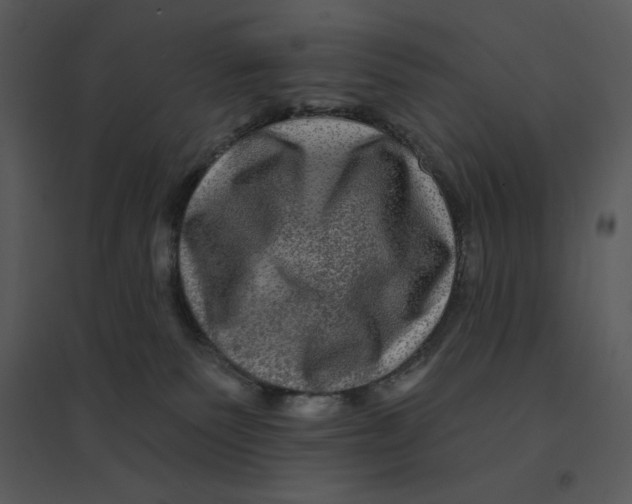 X0000095550135200801041339