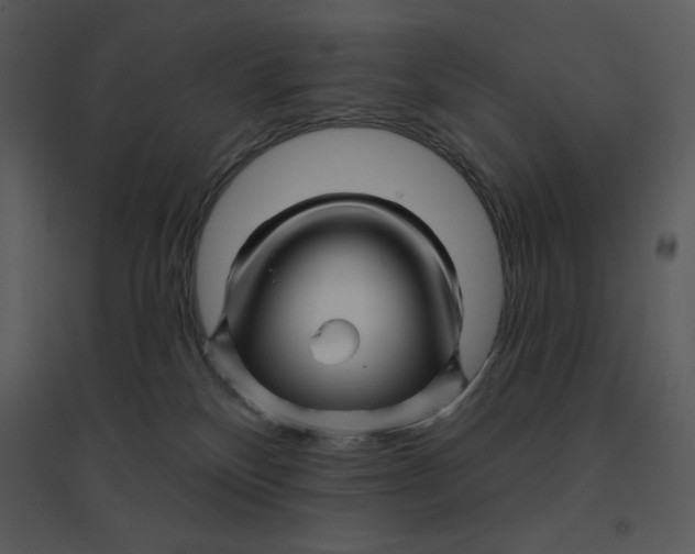 X0000095550136200801041339