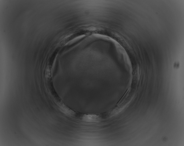 X0000095550137200801041339