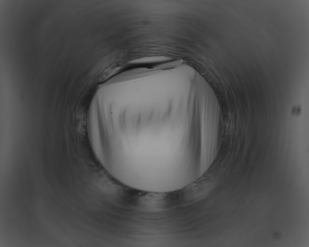 X0000095550138200801041339