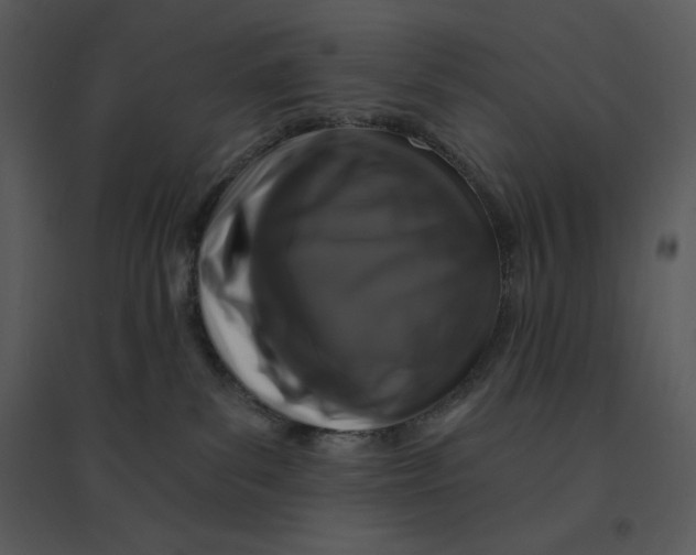 X0000095550139200801041339