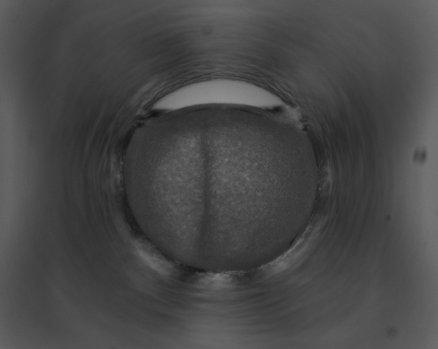 X0000095550140200801041339