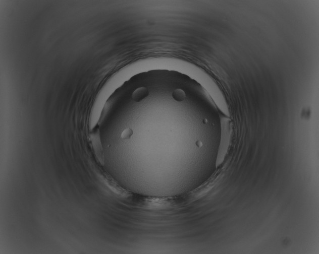 X0000095550141200801041339