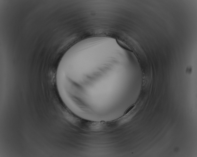 X0000095550142200801041339