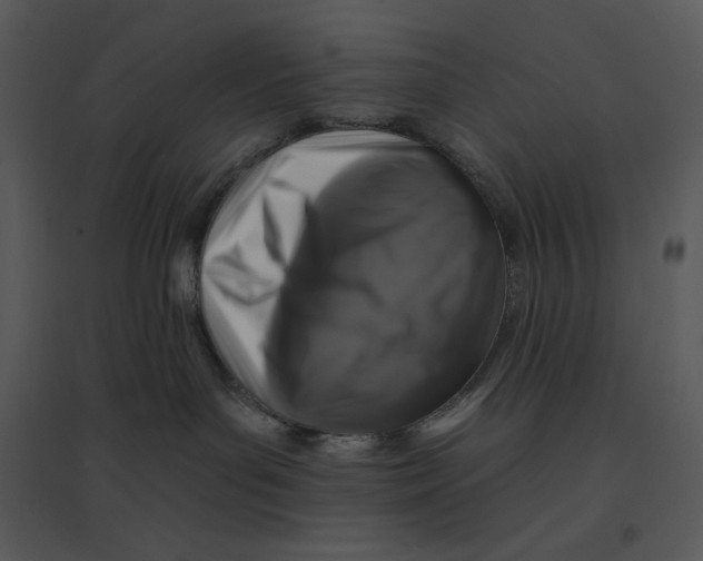 X0000095550143200801041339